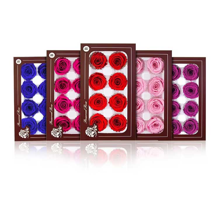 Everlasting Flower 8 lille roosi kinkekarp