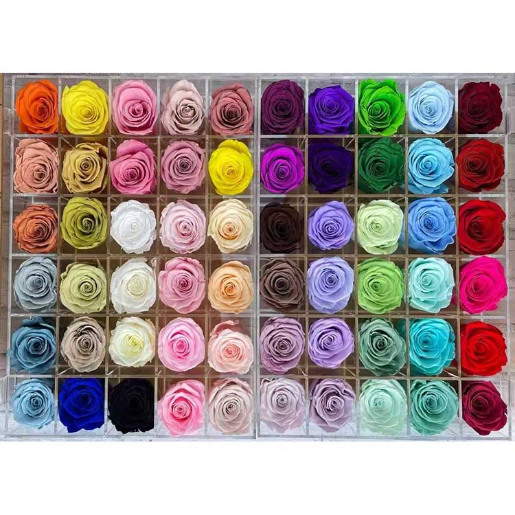 Konserveeritud roosid